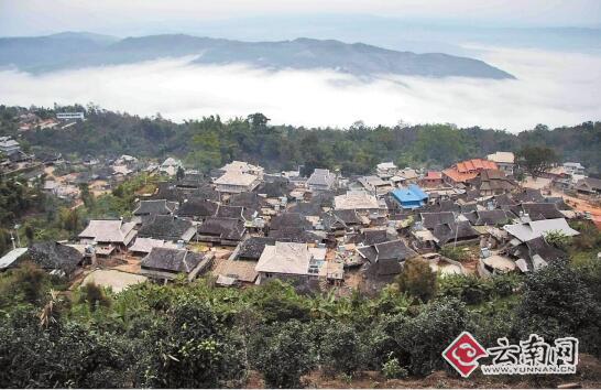 景迈山