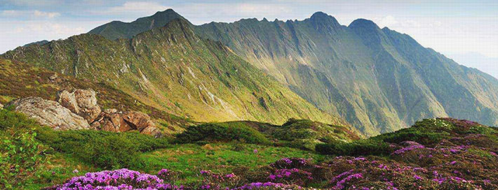 苍山风景区