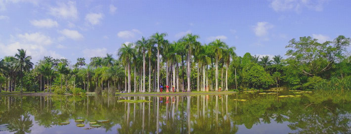 勐仑植物园